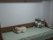 Quarto/escritório